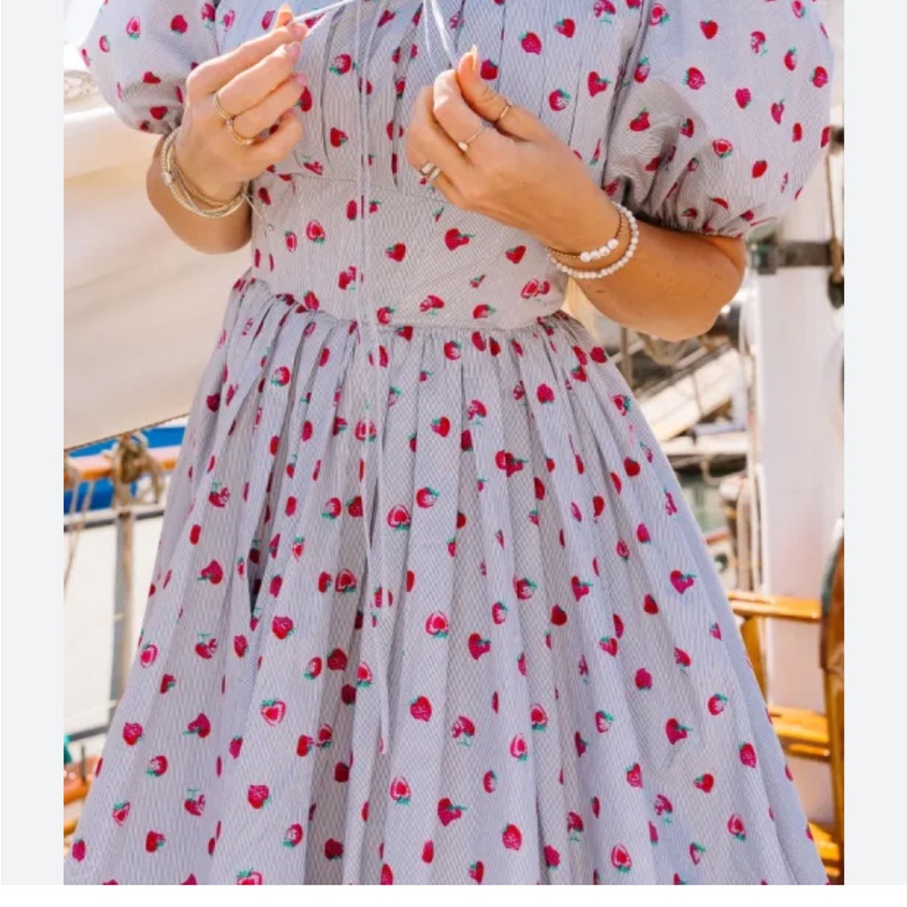 Ivy City Co NWT Charming Strawberry Print Dress